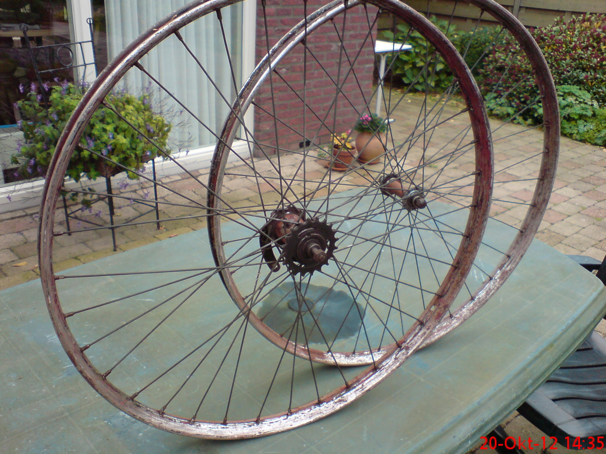 DSC02426.JPG