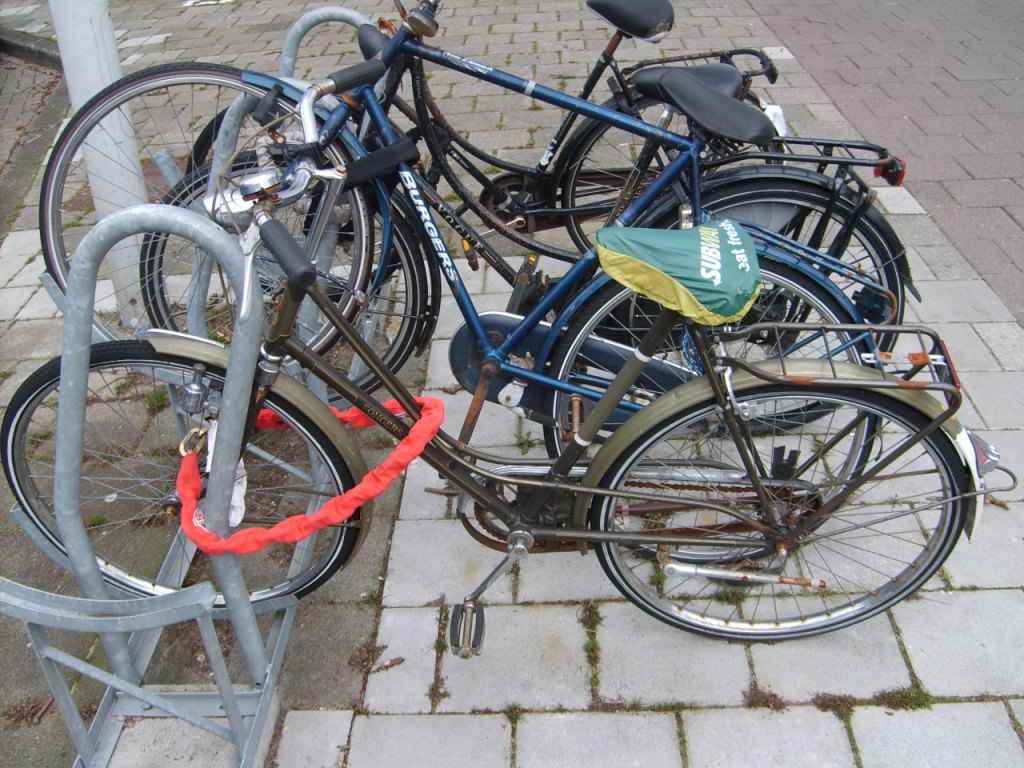 S5000503.JPG
