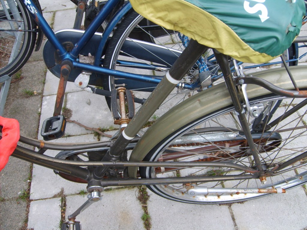 S5000507.JPG