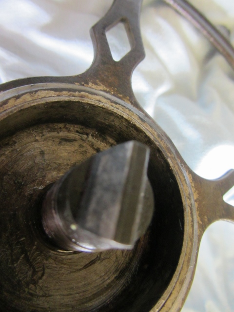 IMG_4456 (480x640).jpg