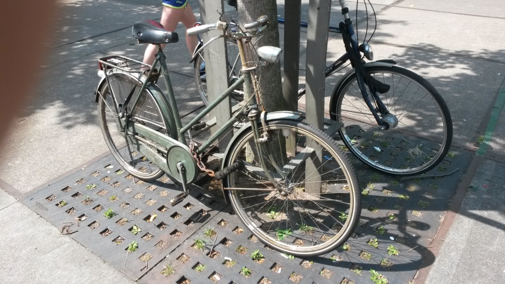20150802_121742.jpg