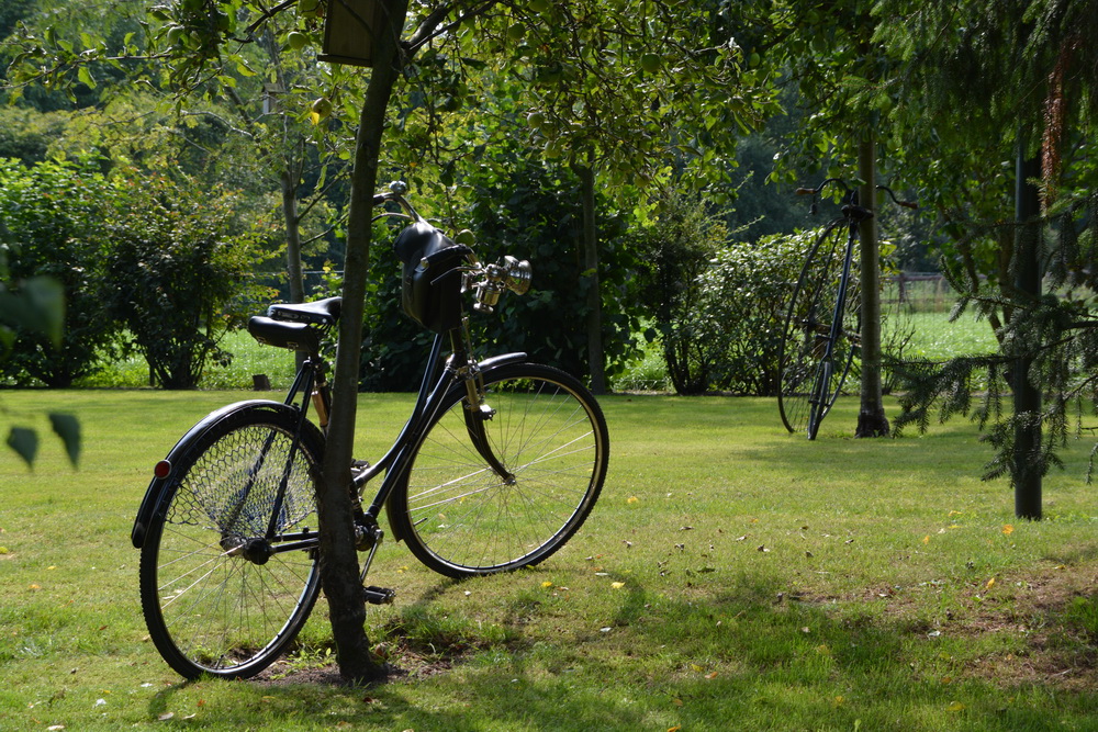 DSC_3299.JPG