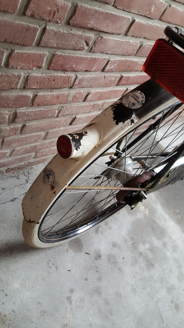 20150825_110025.jpg