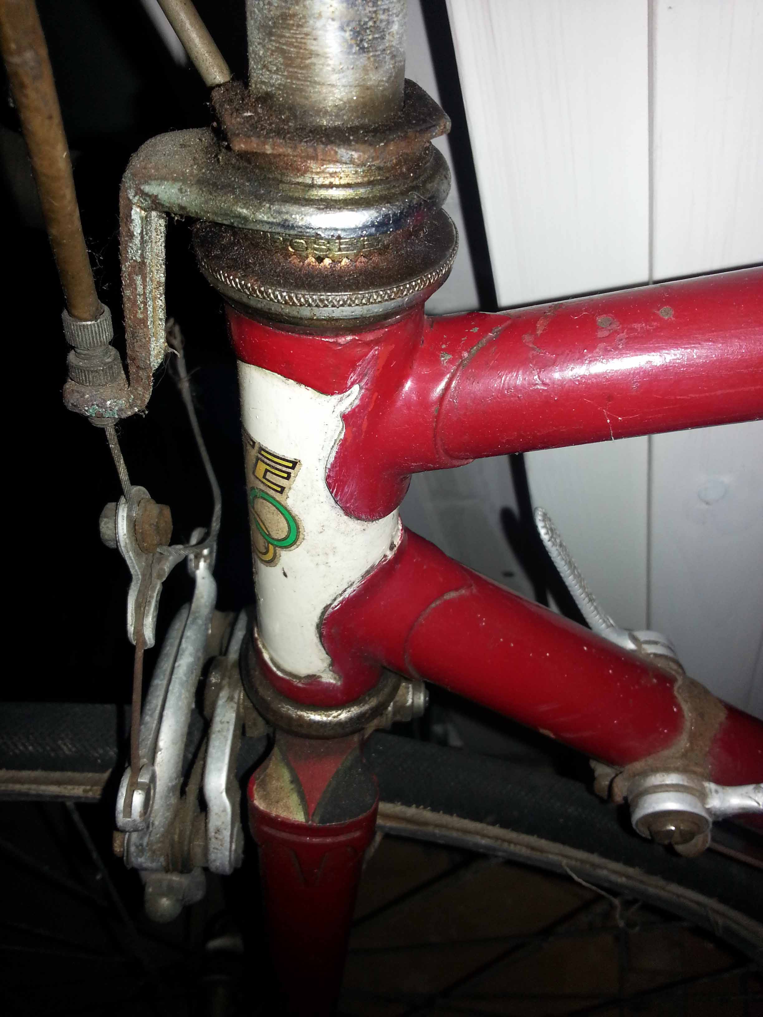 fiets 2.jpg