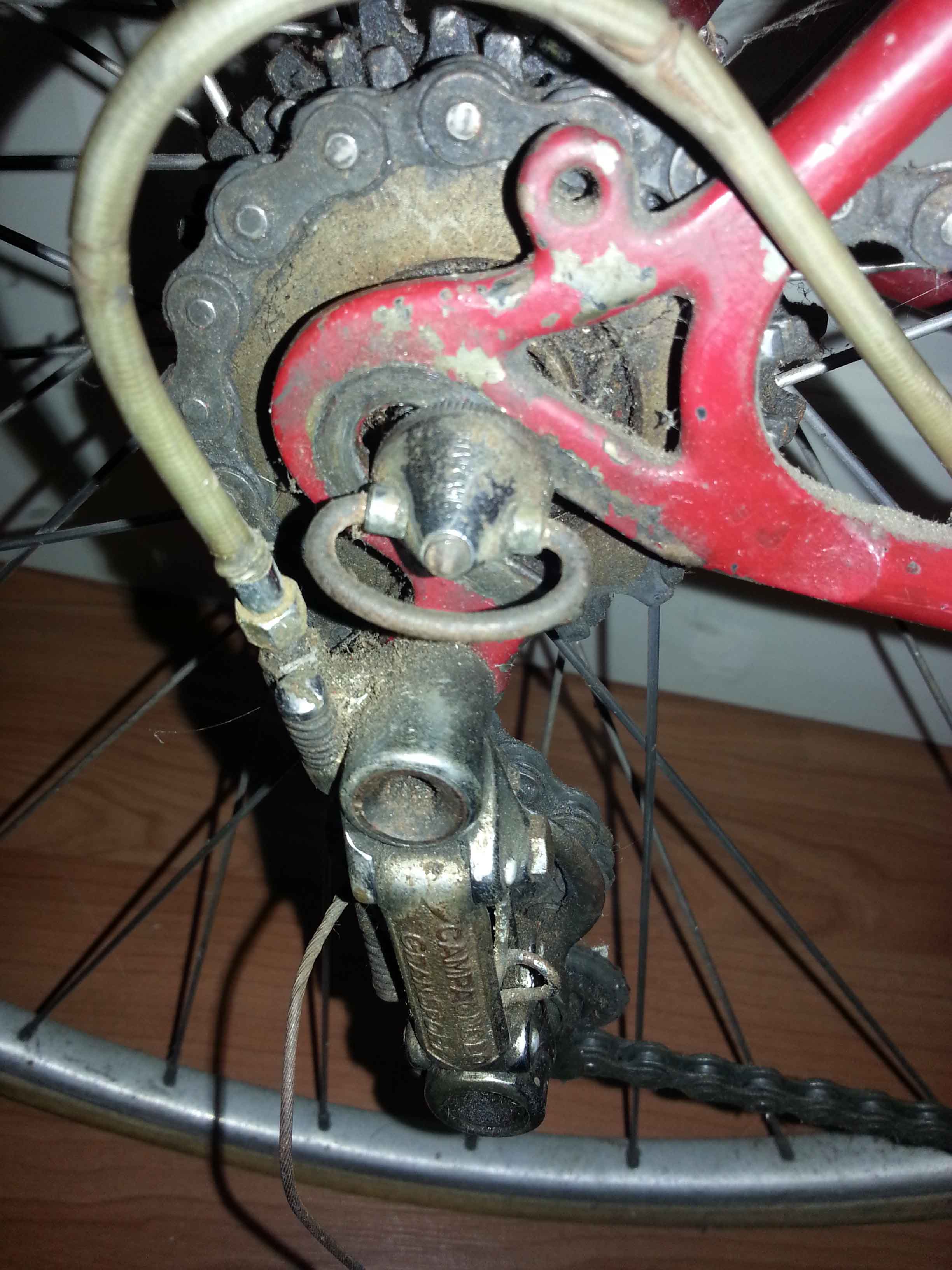 fiets 5.jpg