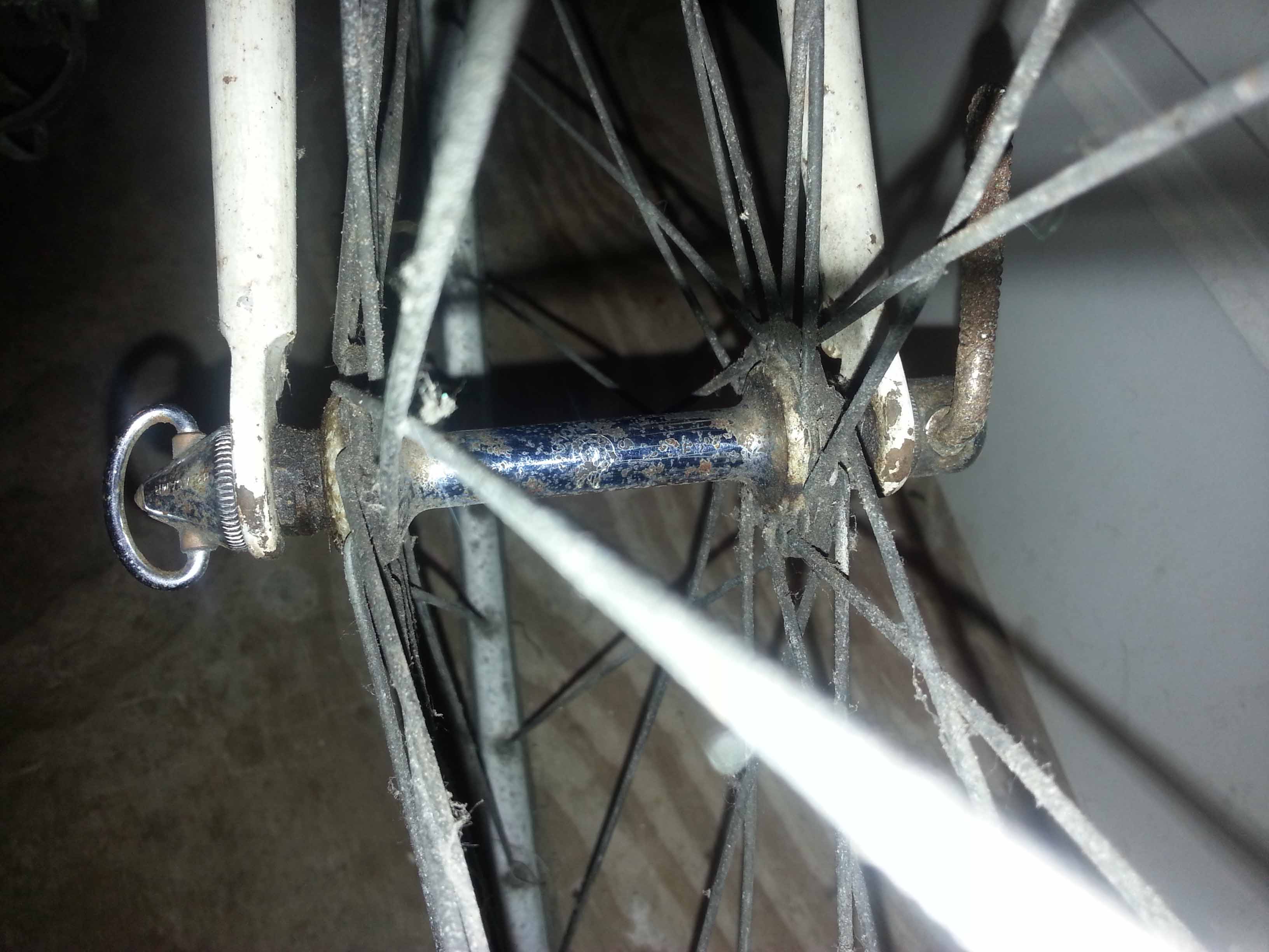 Campagnolo logo zichtbaar