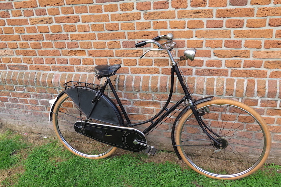 gazelle klaar.jpeg
