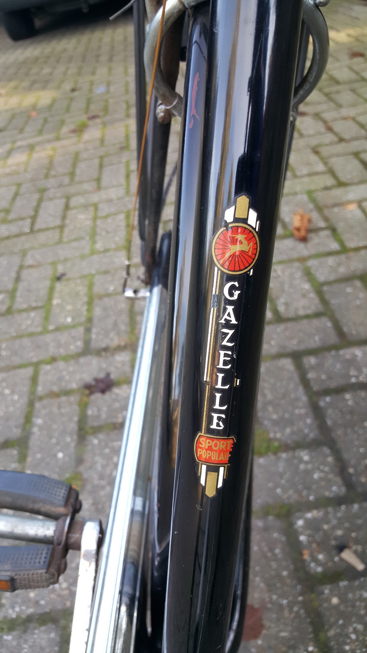 20151025_094805.jpg