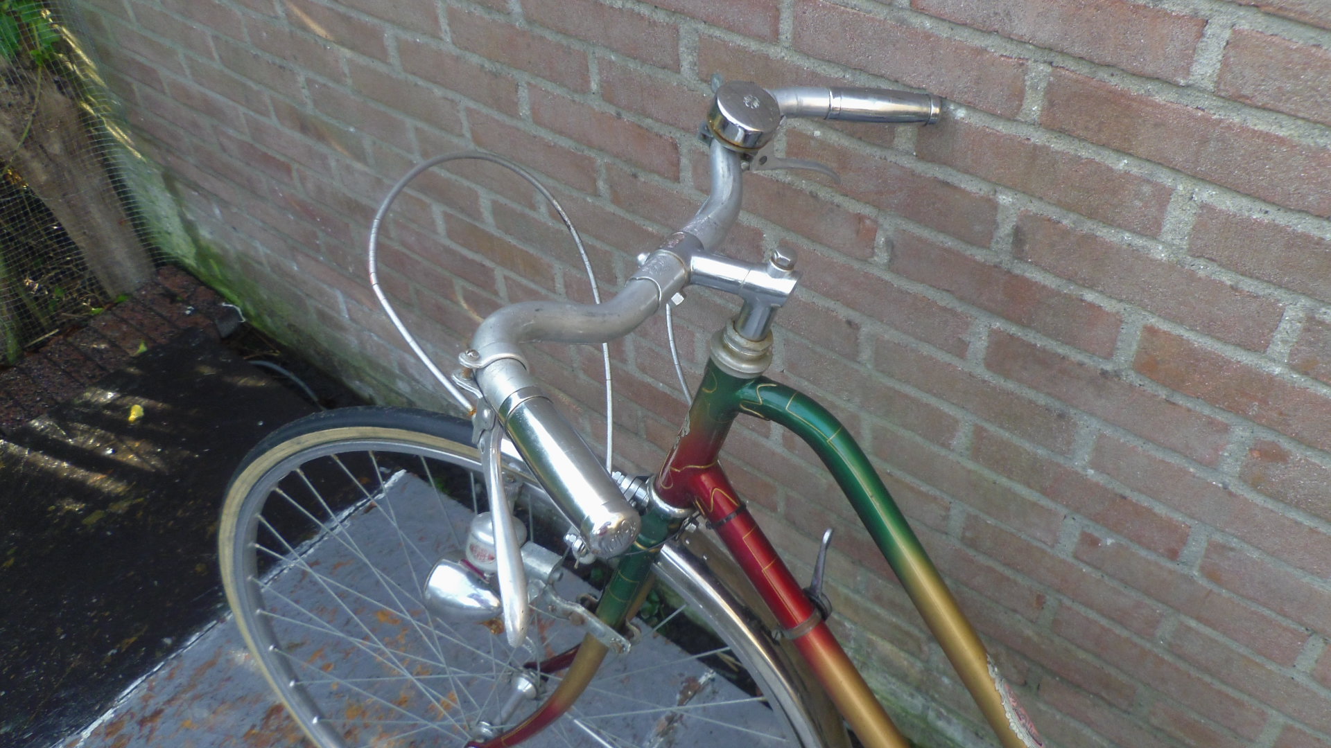IMGP5196.JPG