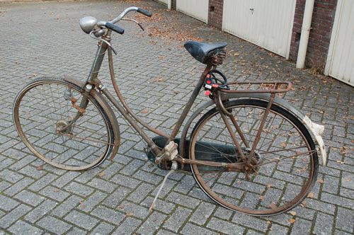 DSC_8106.JPG