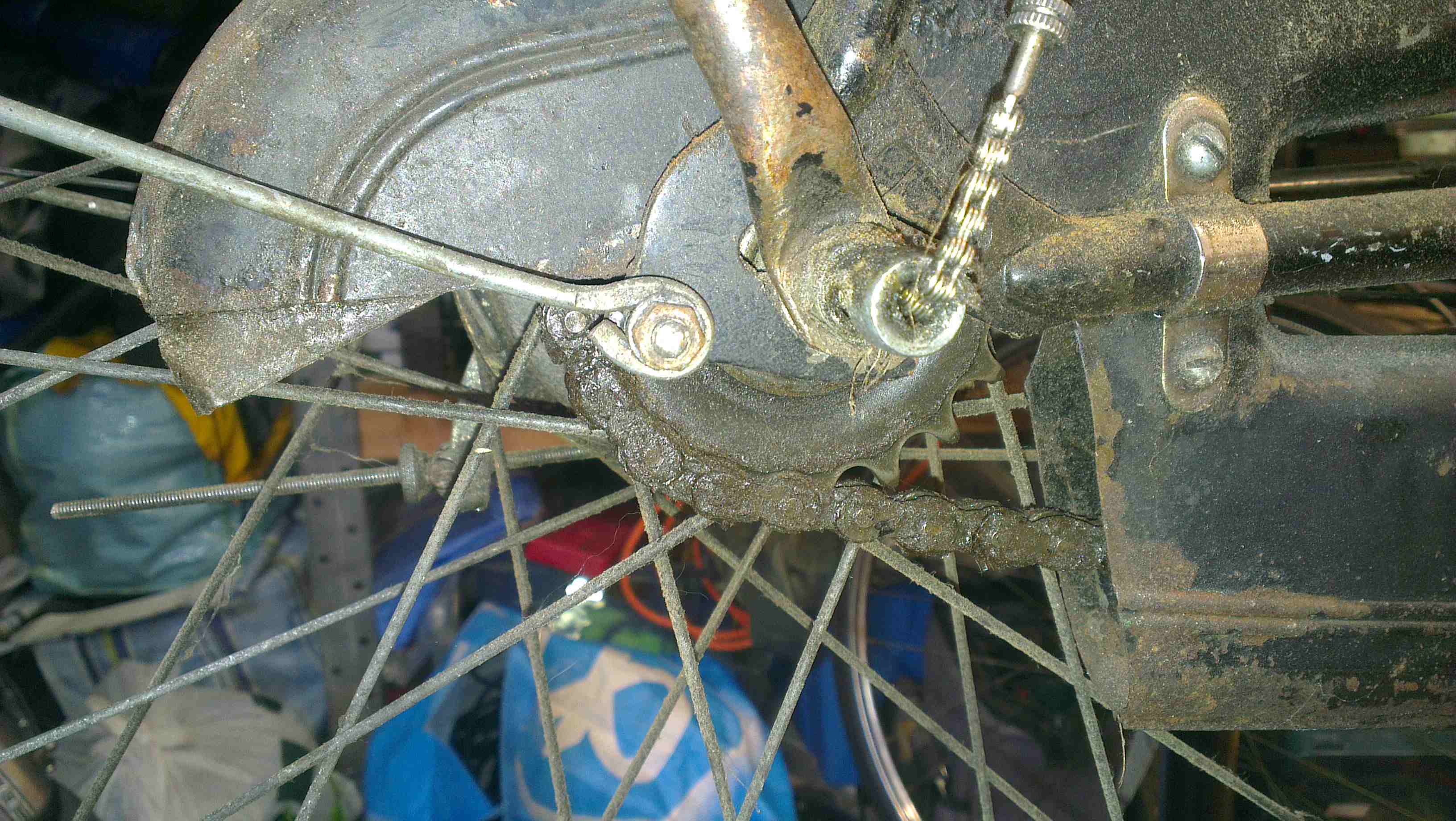 IMAG1076_01.JPG