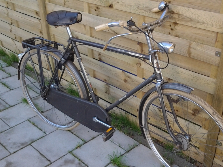 Batavus