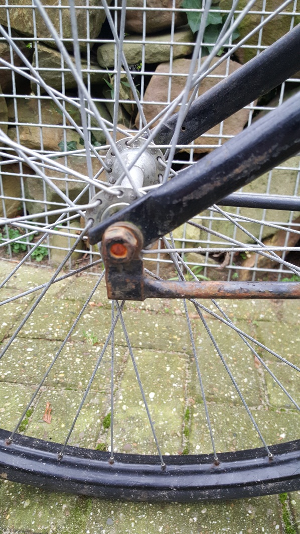 20151227_122348.jpg