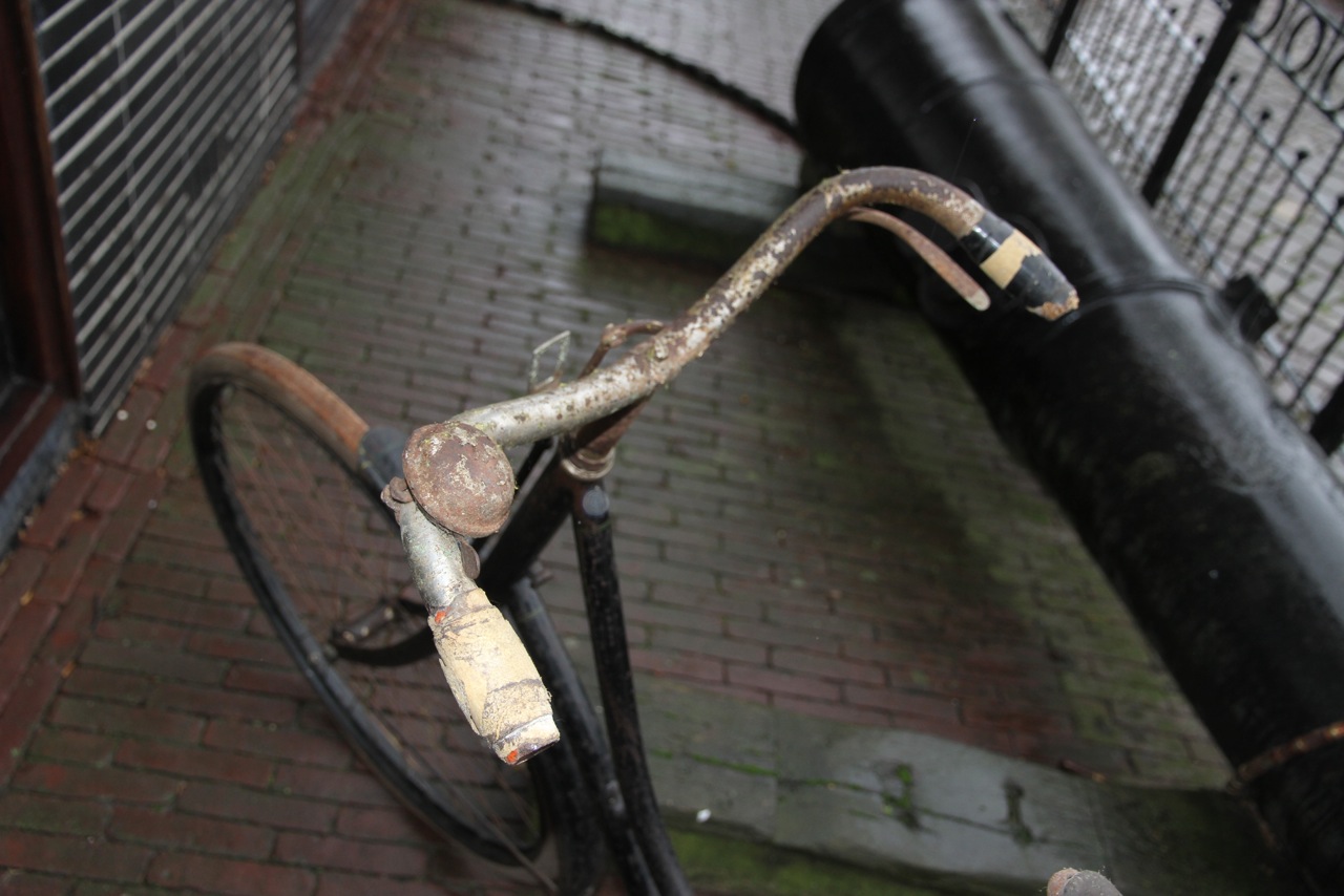IMG_0880.jpeg