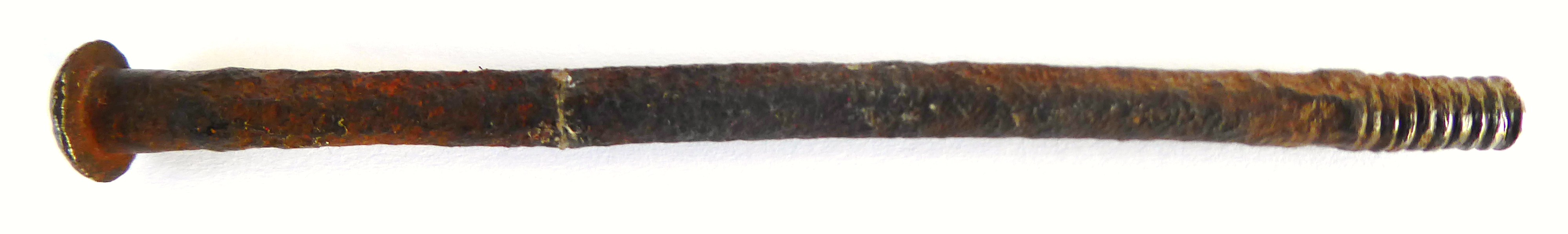 P1020590.JPG