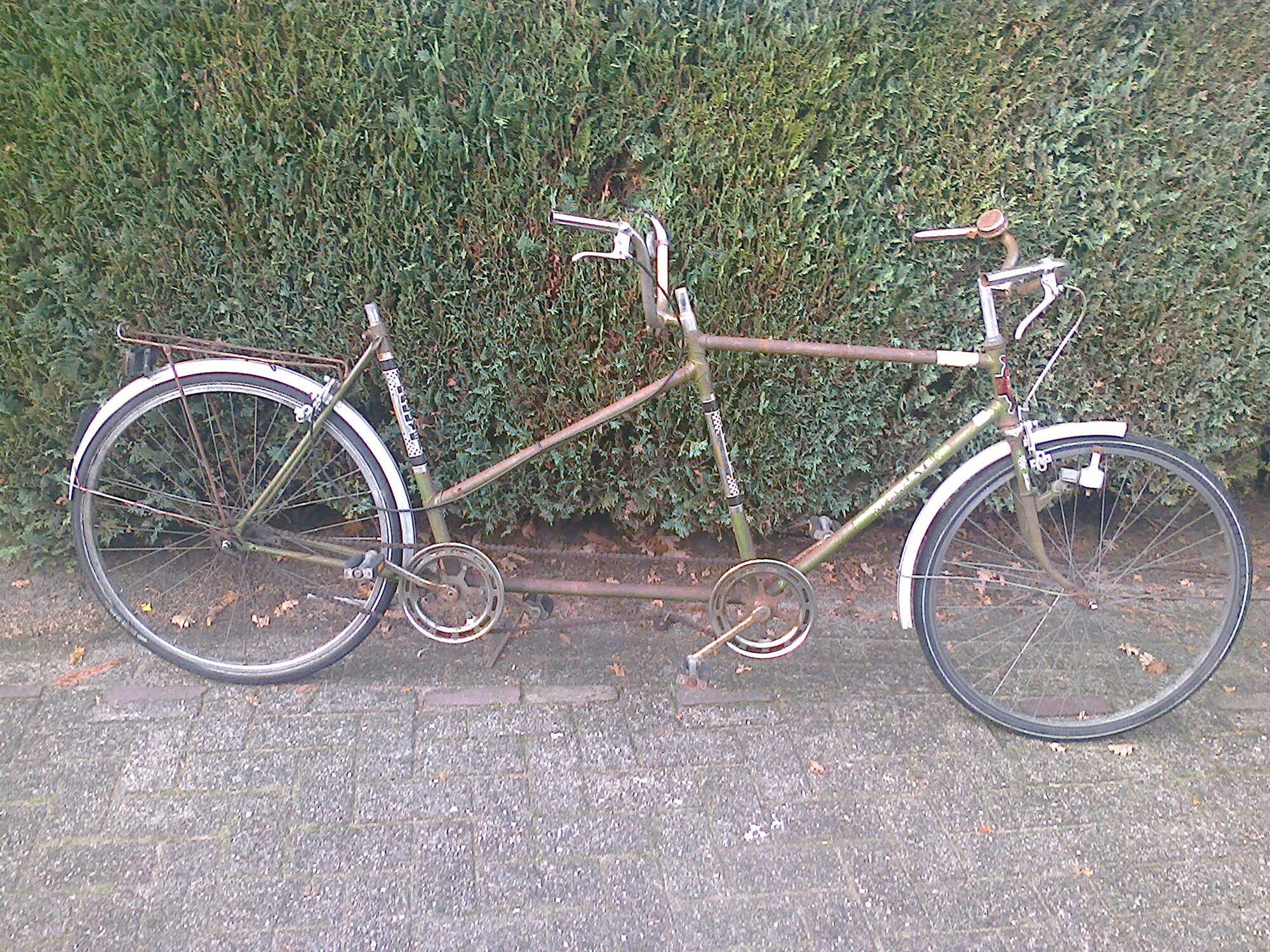 Foto1978.jpg