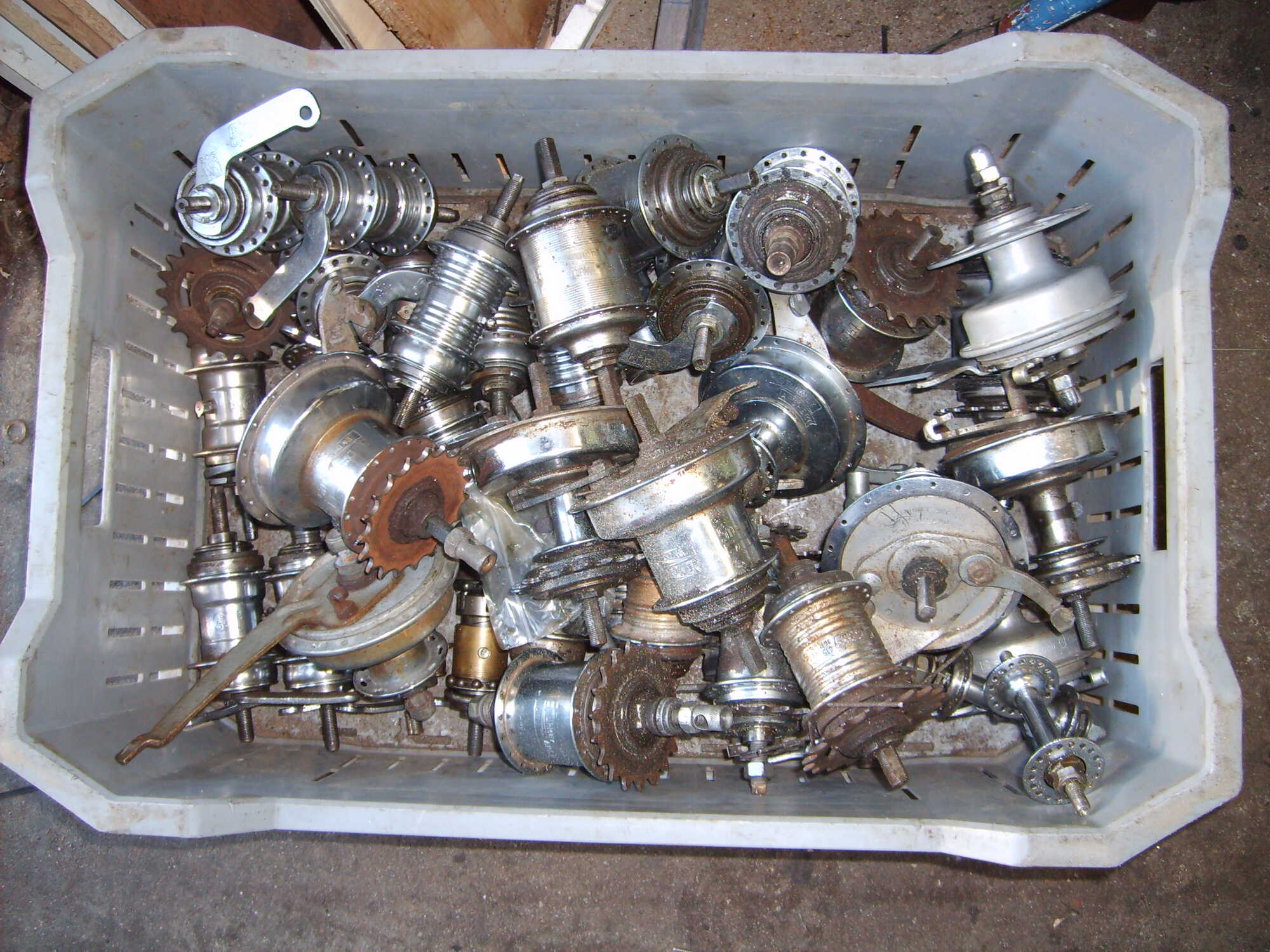 S5000736.JPG