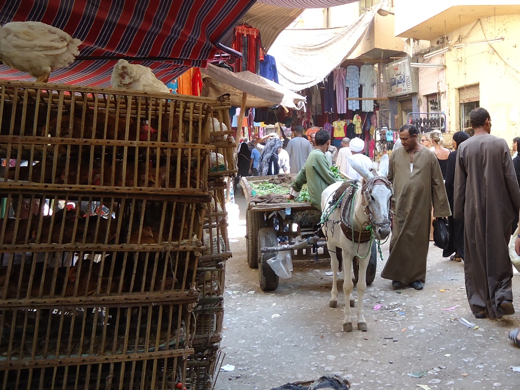 lokale markt.JPG