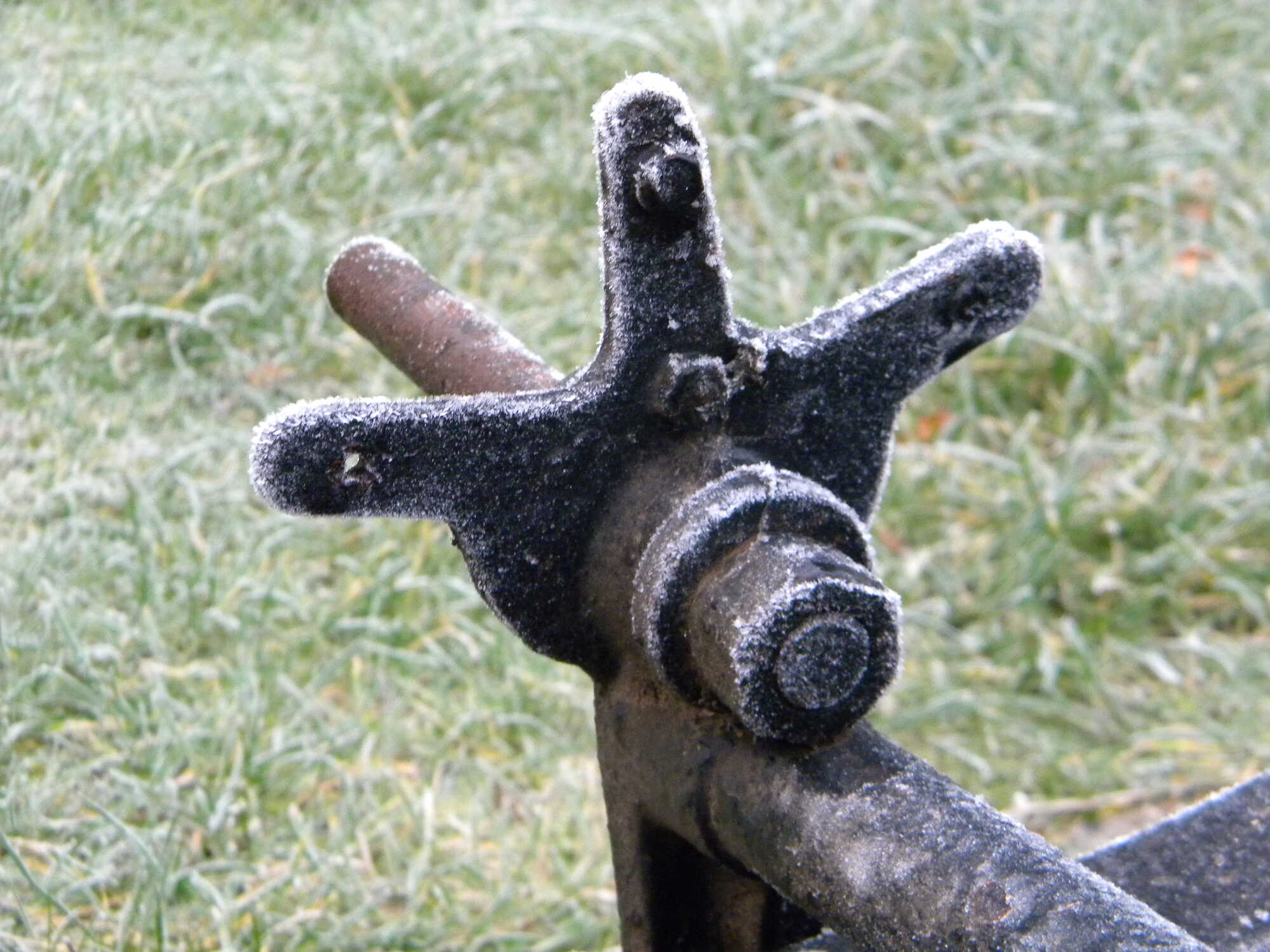 DSCN5568.JPG