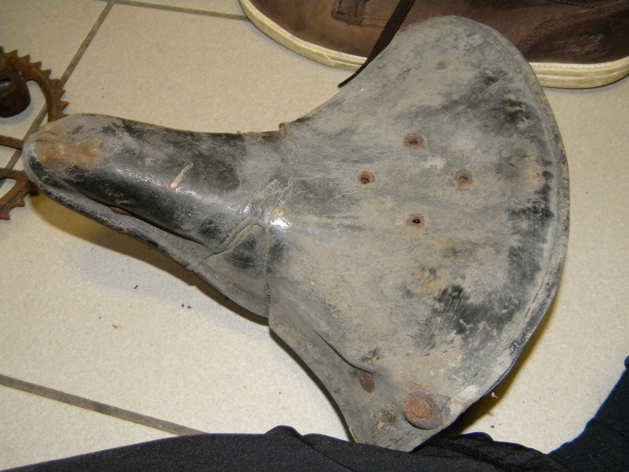 DSCN5585.JPG