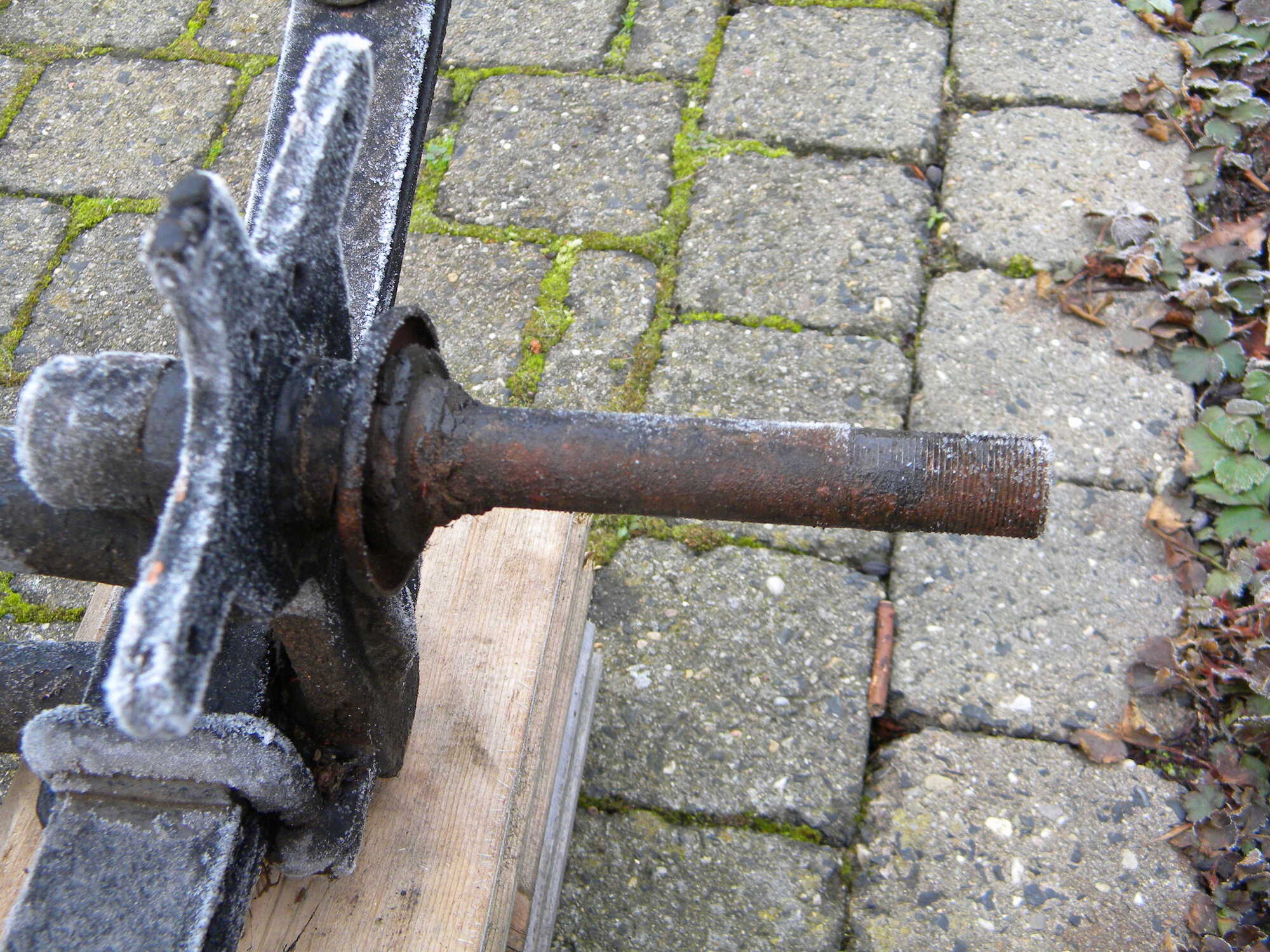 DSCN5569.JPG