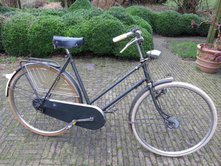 gazelle1.jpg