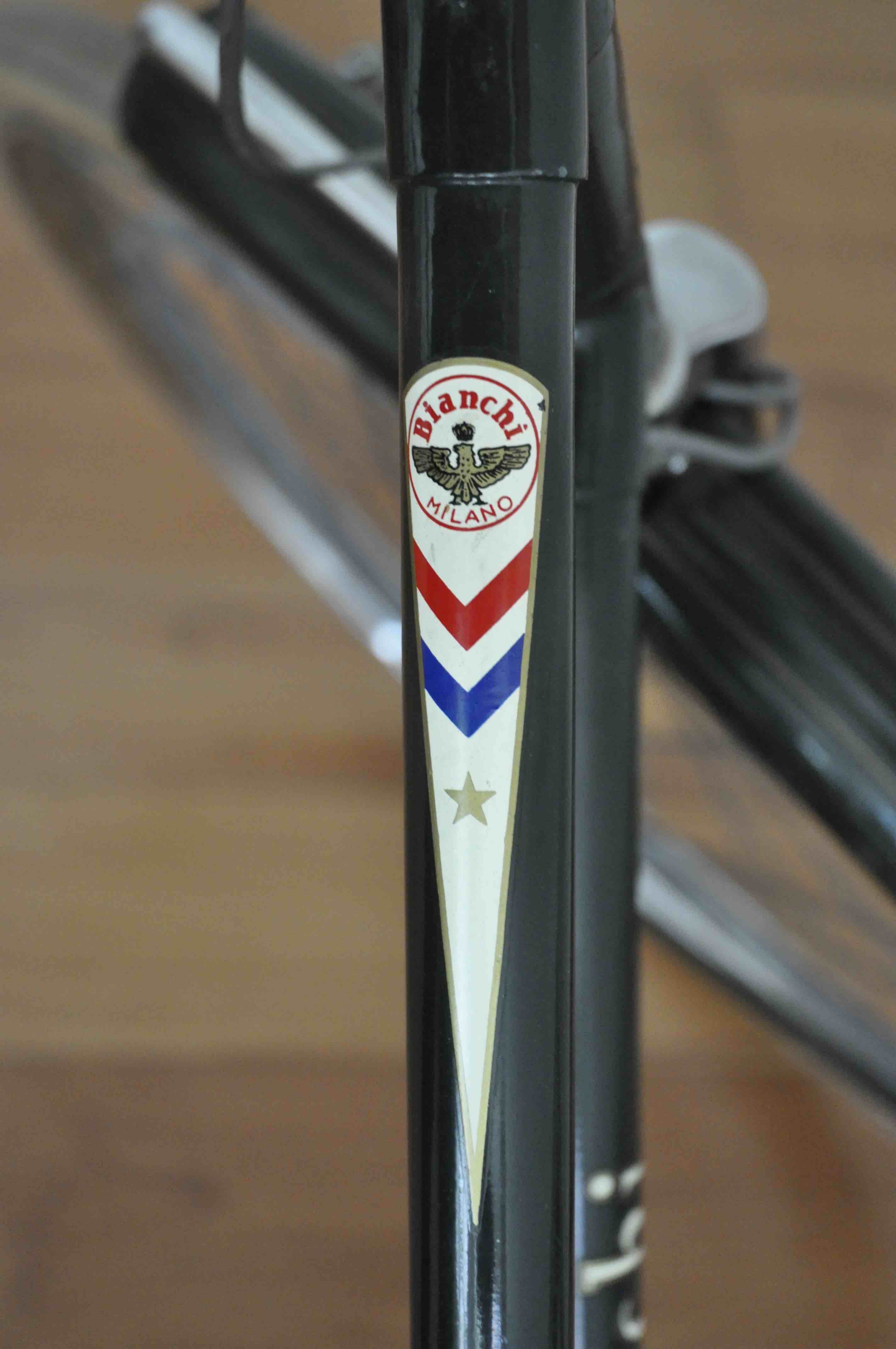 _DSC7517.jpeg