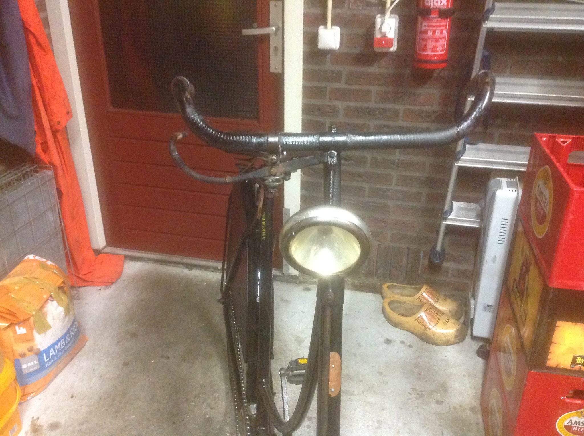 gazelle4.jpg
