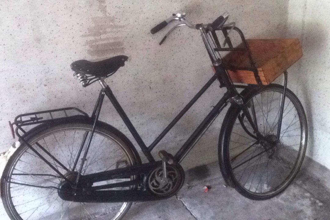 Gazelle transport dames.jpg