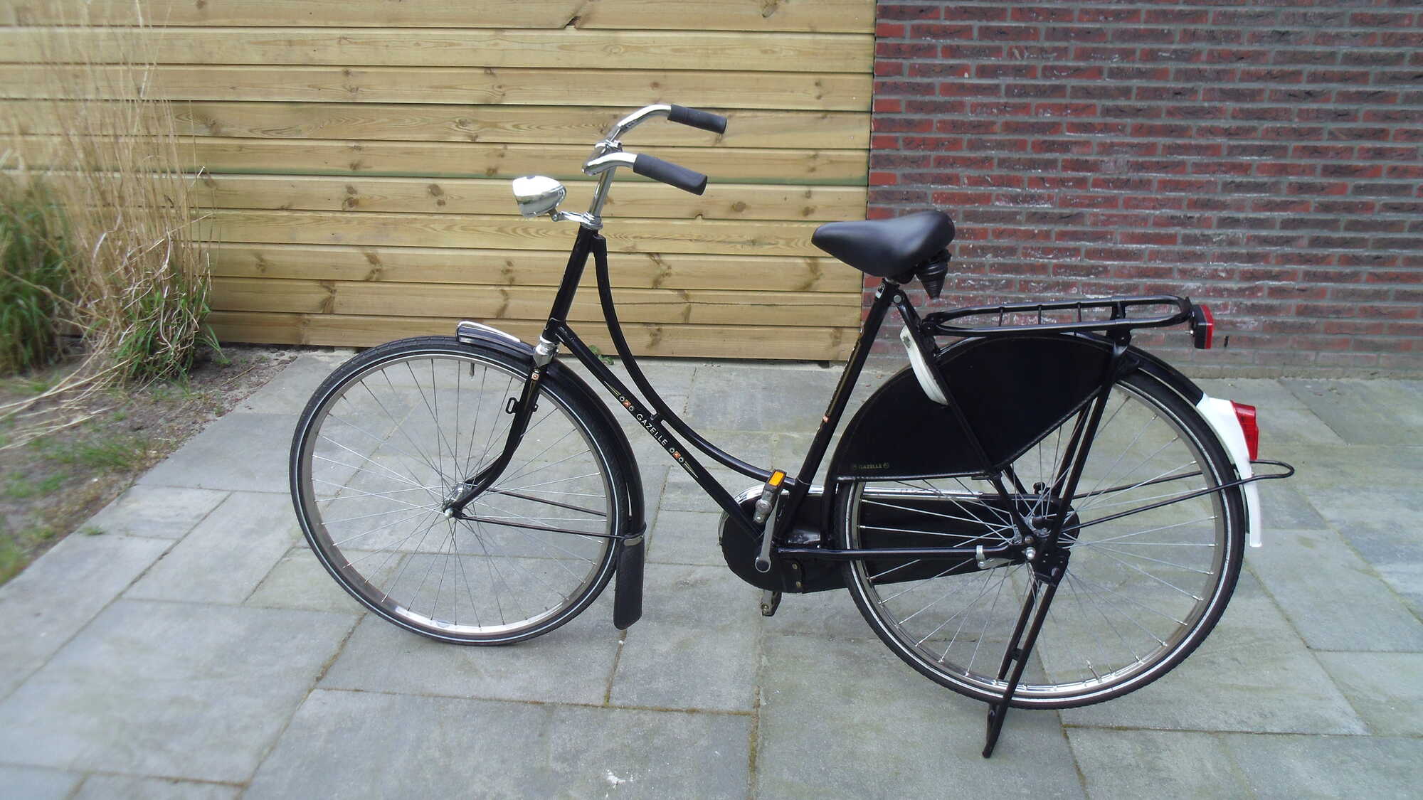IMGP0124.JPG