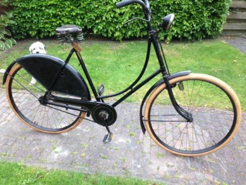 gazelle3.jpg