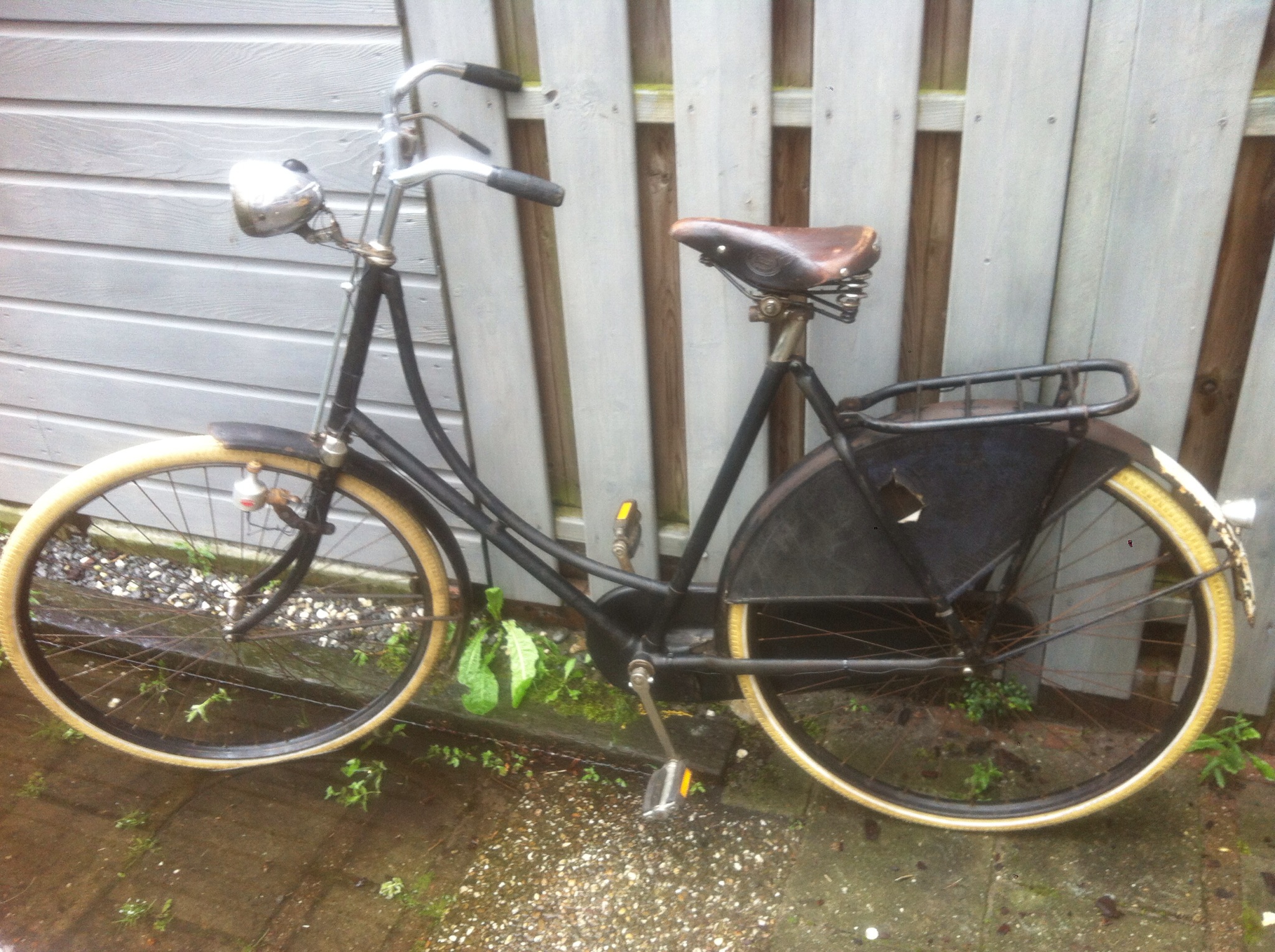 1Gazelledames30.jpg