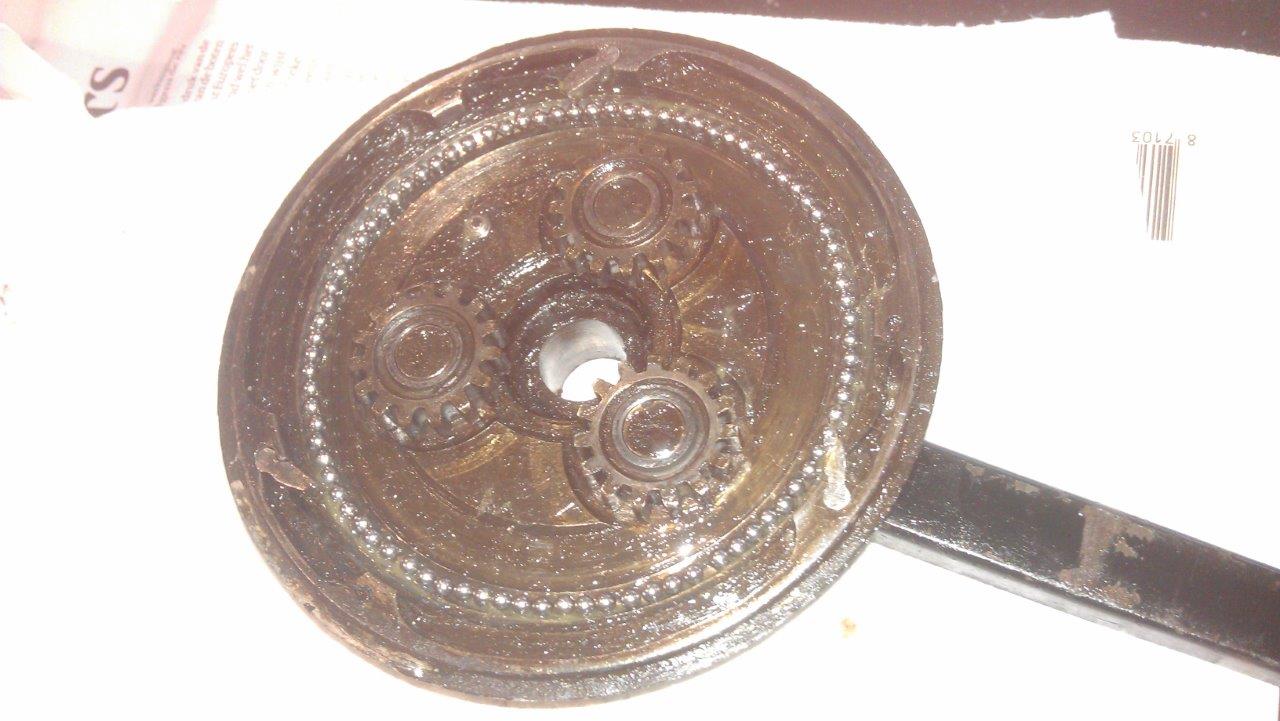 IMAG1752.jpg