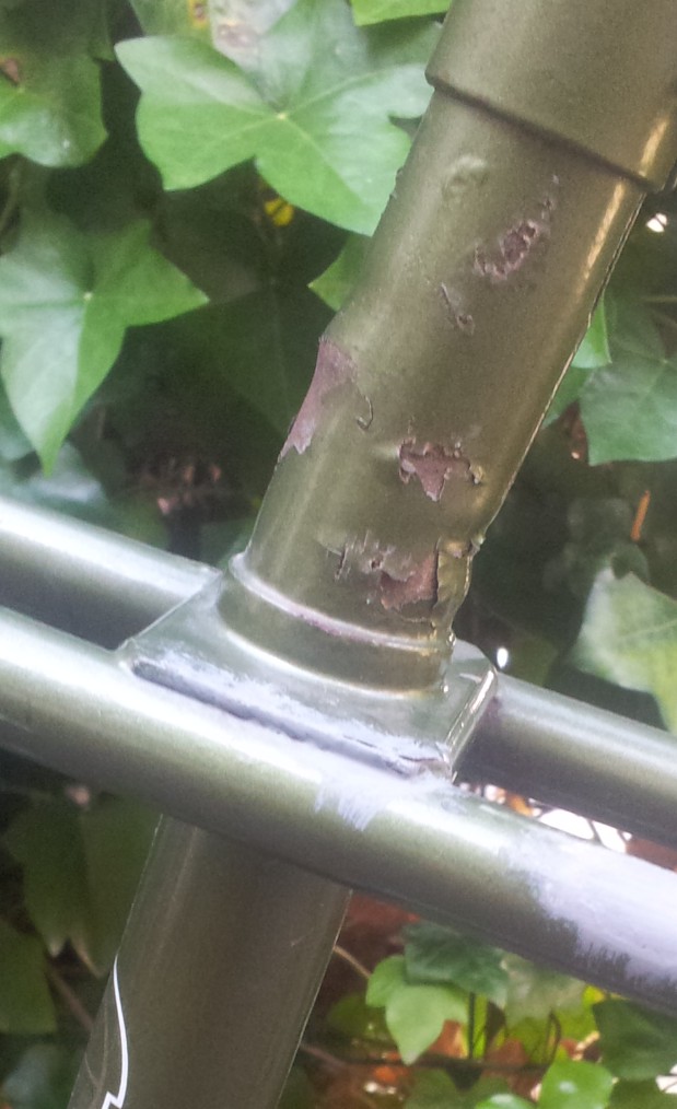 20160720_103351.jpg