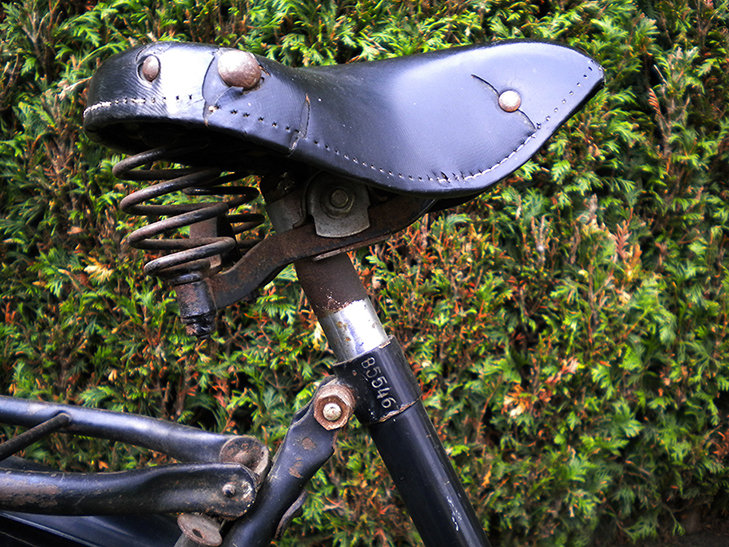 Gazelle_85546_nr_kl.jpg