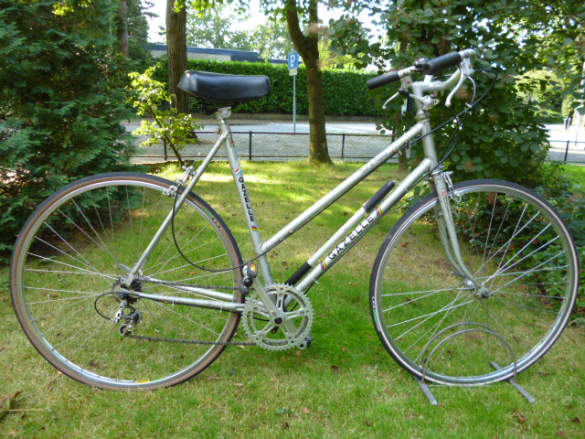 Gazelle 1967