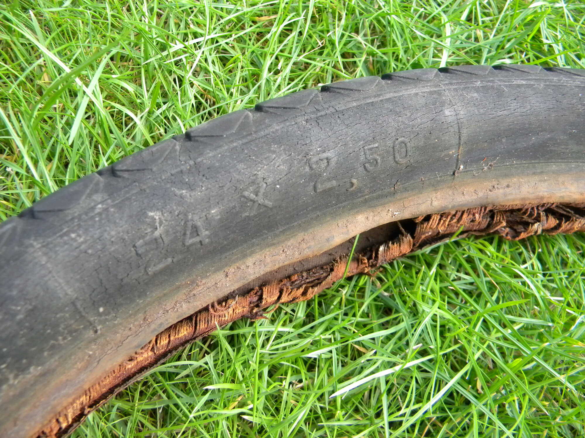 DSCN5737.JPG