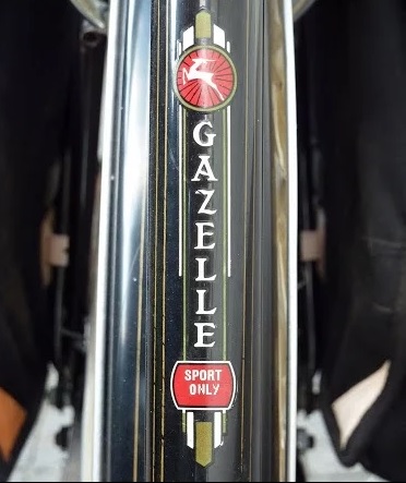 Gazelle SoT.jpg