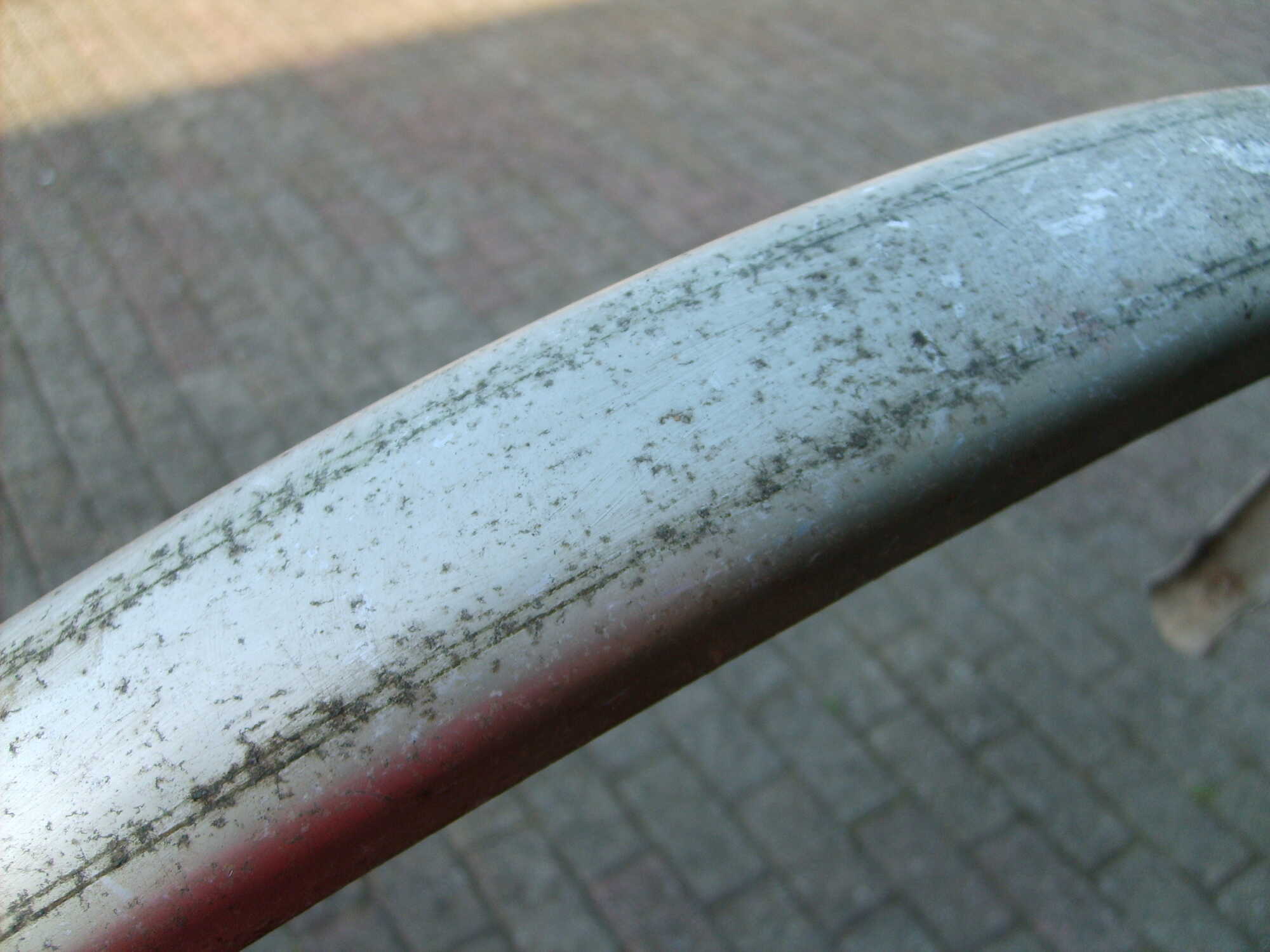 S5001008.JPG