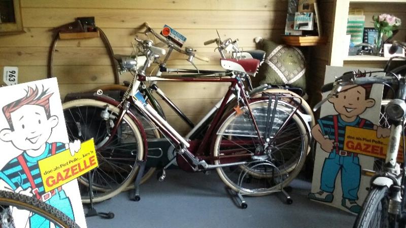 Gazelle Sport A.jpg