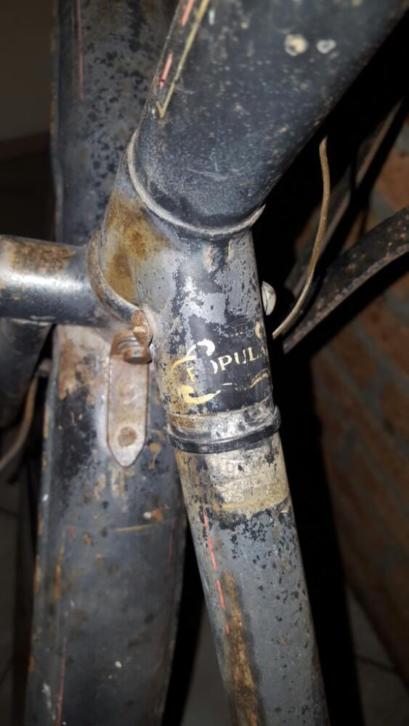 raleigh10.jpg