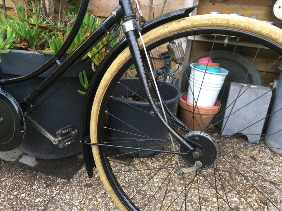 gazelle NO 8 19.jpg