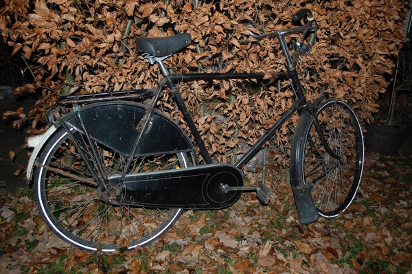 63.jpg