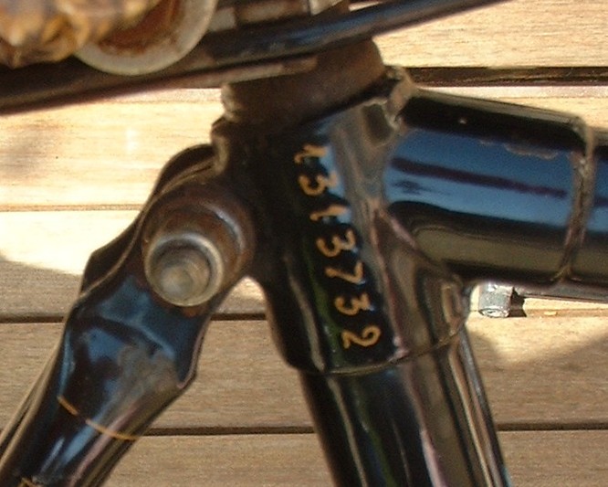 gazelle-nummer.jpg