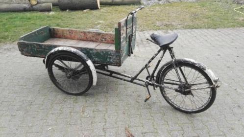 Eerste foto meteen na thuiskomst.