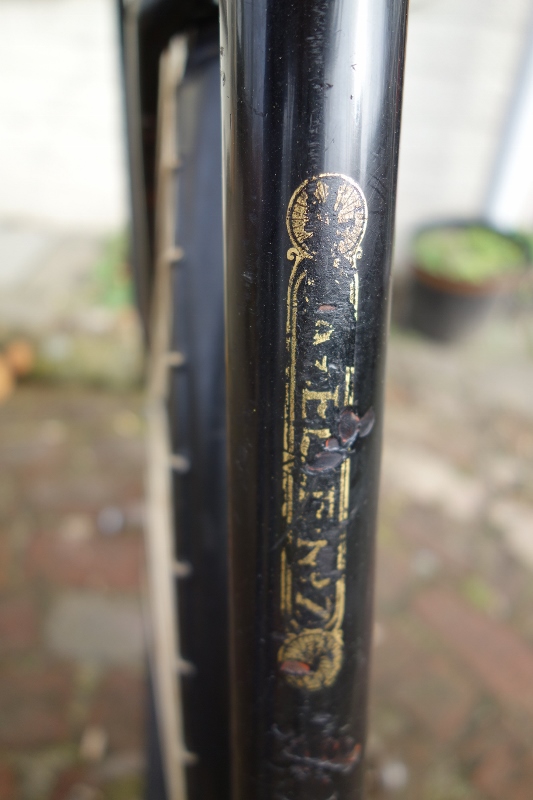 040 (533x800).jpg