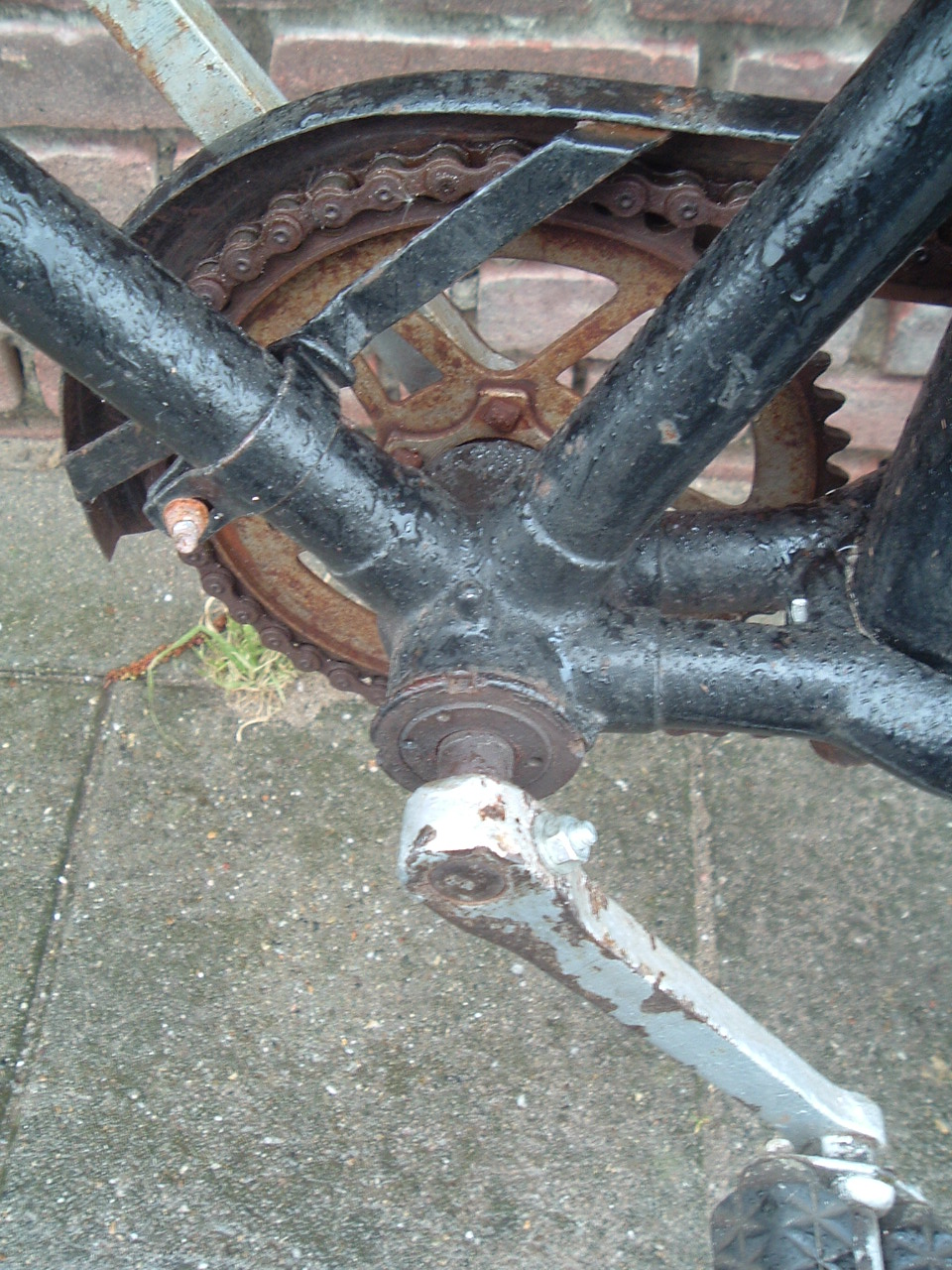 JCR F 011.JPG