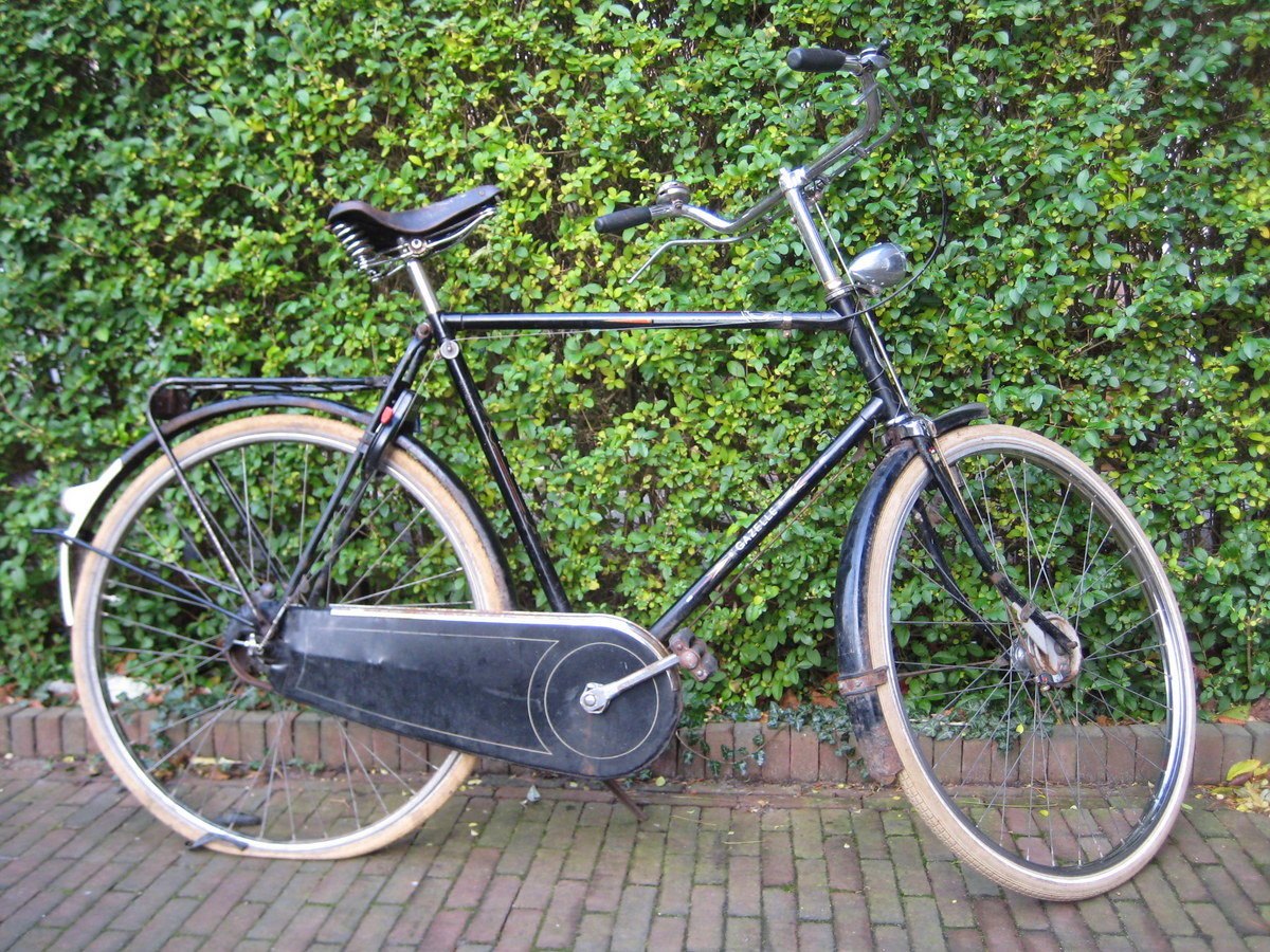 121124 Gazelle TS (16).jpg