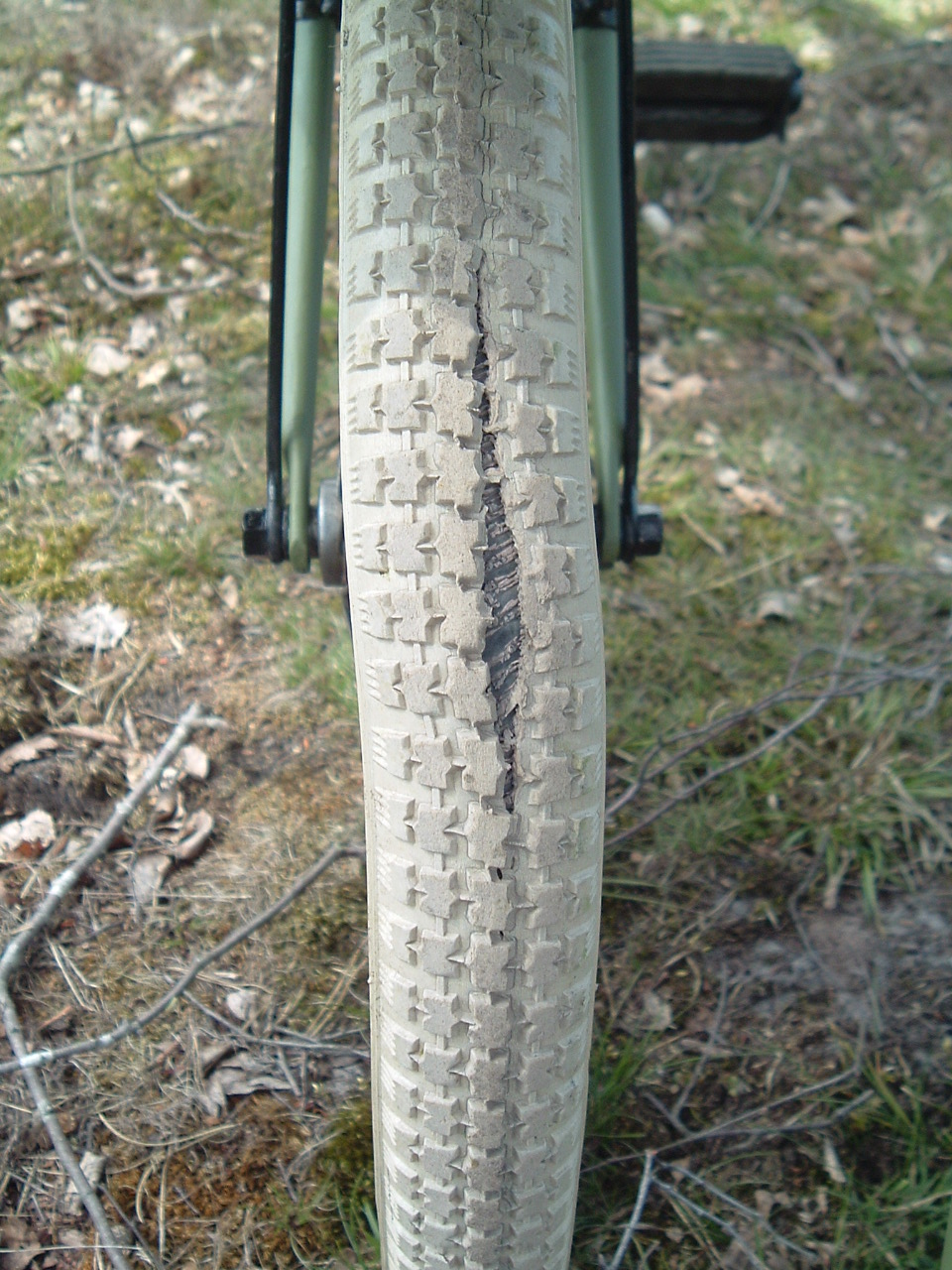 DGTT 2017 009.JPG