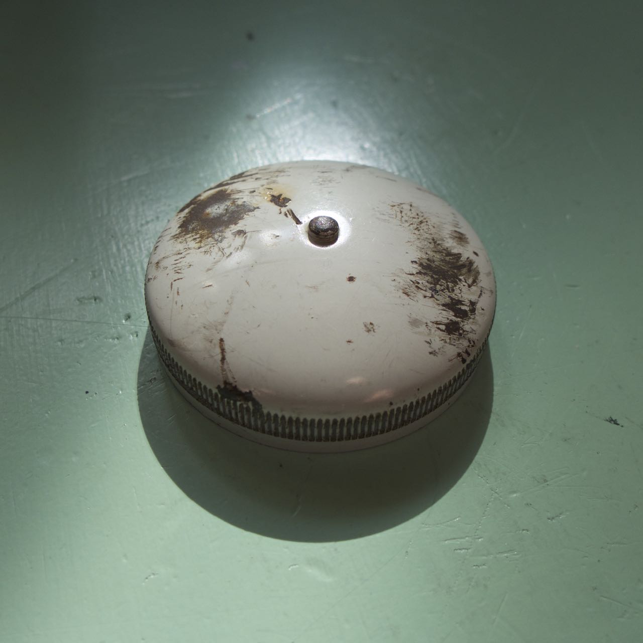 L1030491.jpg